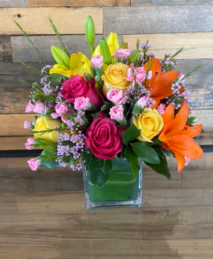 Bright and cheerful  