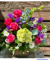 Bright and cheerful all occasion 
