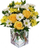 Bright and Cheerful  yellow roses and white and yellow daisies 