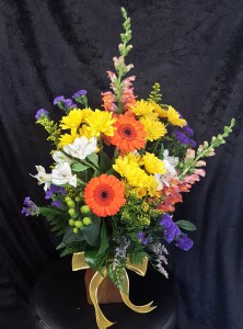 Bright and Cheery