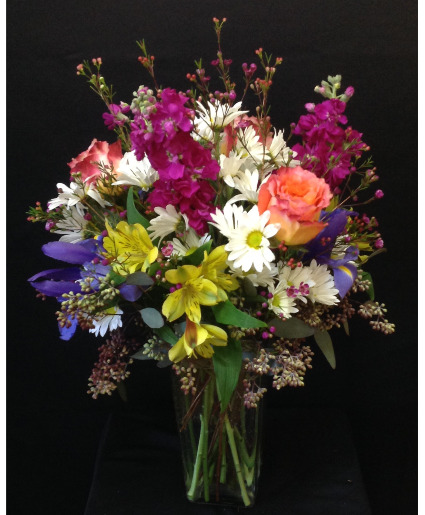 Bright and cheery