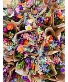 Market Wrap Wrapped Bouquet