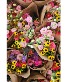 Market Wrap Wrapped Bouquet