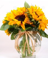 Bright as Sunflower Sunshine 