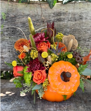 Bright Autumn all occasion 