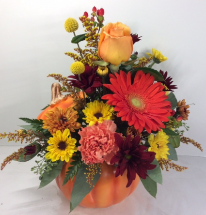 Bright Autumn Pumpkin