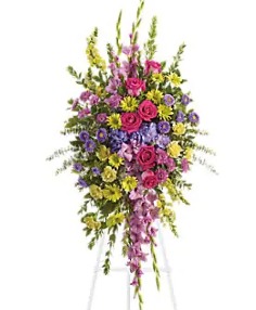 Category Image