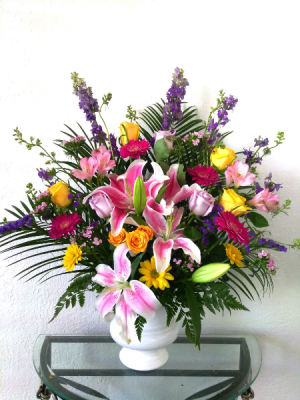 Bright Beautiful Forever in Melbourne, FL | VIOLETS IN BLOOM Bright Beautiful Forever in Melbourne, FL | VIOLETS IN BLOOM