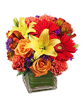 Bright Before Your Eyes Flower Arrangement in Lorton, Virginia | Gunston Flowers