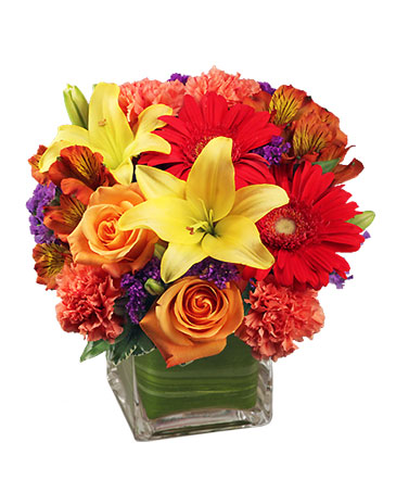 Bright Before Your Eyes Flower Arrangement in Rockford, IL | STEMS FLORAL & MORE