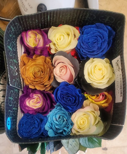Bright Bold and happy Roses