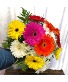 Bright Centiments PNB Designs