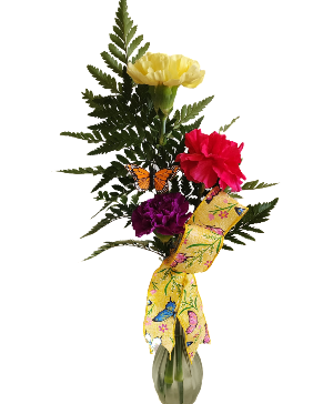 Bright & Cheerful Carbations Long lasting vase arrangement