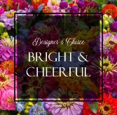 Bright & Cheerful Designer's Choice  in Frederick, Maryland | Maryland Florals