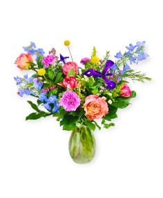 Category Image