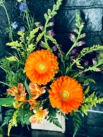 Bright Day