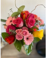 Bright Day Design Designer's Choice