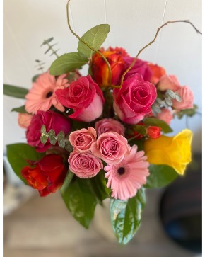 Bright Day Design Designer's Choice