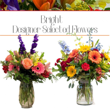 Bright-Designer’s Choice