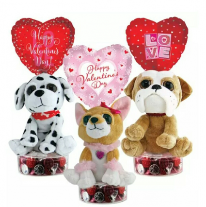 Bright Eyes Pooch Valentine's Day