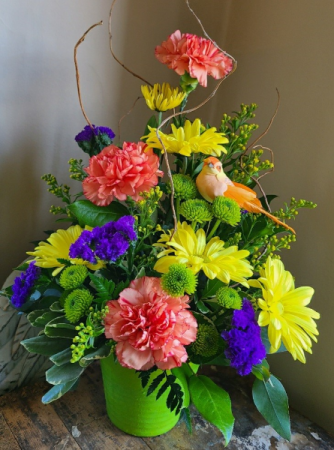 Bright & long lasting flowers