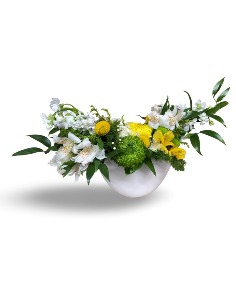 Category Image