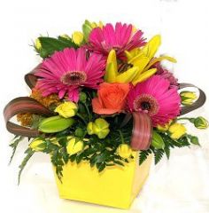 Bright Pot Arrangement In a Yellow Tin Lovely Arrangement in Burbank, CA | MY BELLA FLOWER Bright Pot Arrangement In a Yellow Tin Lovely Arrangement in Burbank, CA | MY BELLA FLOWER