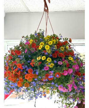 Bright Rainbow Hanging Basket Hanging Basket