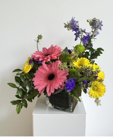 Bright Side Blooms Everyday Collection in Denison, TX | JUDY'S FLOWER SHOPPE