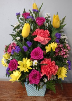 Category Image