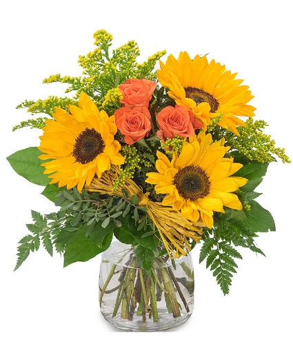  Bright Sunflowers 