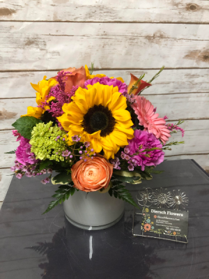 Hello Dolly Arrangement