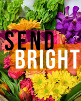 Bright & Vibrant Bouquet  in Jonesboro, Arkansas | POSEY PEDDLER
