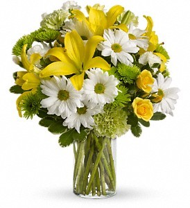 white and yellow daisies bouquet