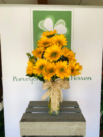 Brighten Moms Day  BEST SELLER 12 Sunflower Vase arrangement