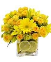 Brighten Their Day  