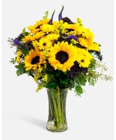 Brightest Star  Solidago, Sunflowers