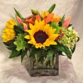 Brightly Cheerful! Vased Arrangement, Compact