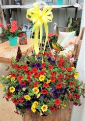 Brillant Cali Basket Hanging Basket
