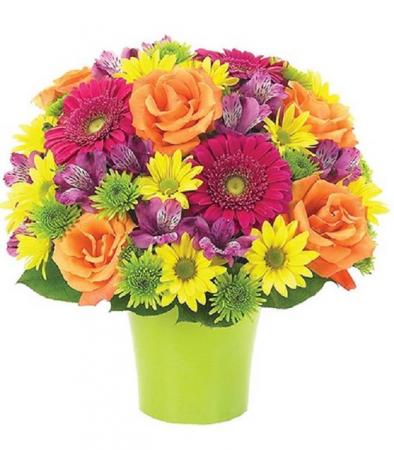 BRILLIANCE BOUQUET Perfect for every occasion!