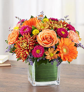 Brilliant Autumn Medley™
