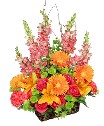 Brilliant Basket Arrangement in Greenfield, IA | COLORS FLORAL & HOME DECORATING