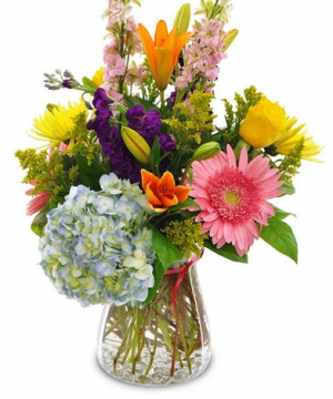 Brilliant Blossoms Arrangement