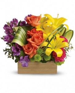  Brilliant Box of Blooms 