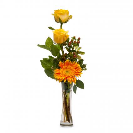 Bring Me Sunshine Arrangement