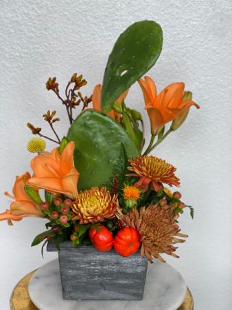 Bring on the Fall Cactus Arrangement  in Stephenville, TX | University Flowers & More