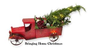 Bringing Home Christmas Container Arrangement