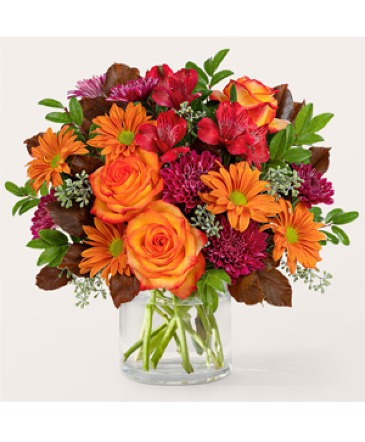 Brisk Morning V5750s Arrangement in Fort Worth, TX | DARLA'S FLORIST