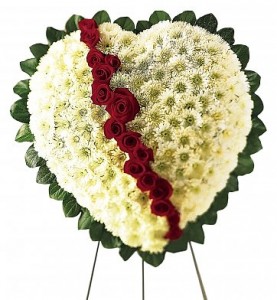 Broken and Bleeding Heart