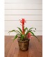 Purchase this funeral home arrangement
